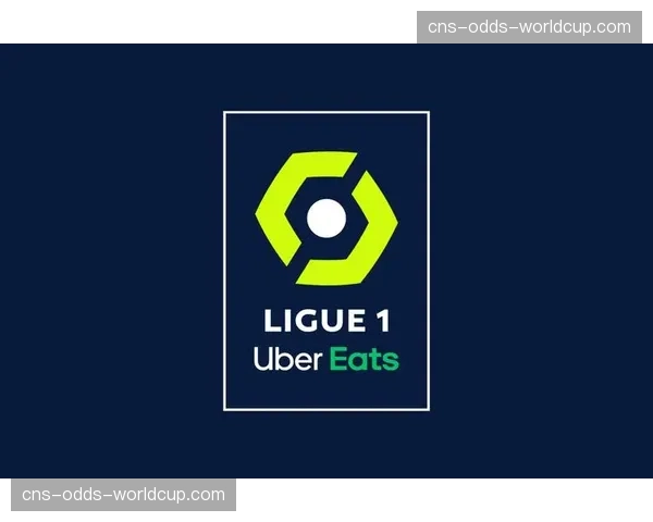 法国职业足球联盟发布财务报告：法甲整体营收创历史新高