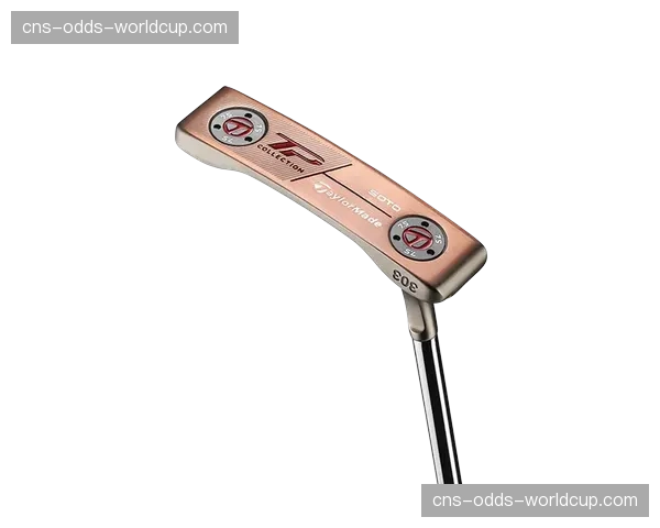 财报:泰勒梅母公司2025年Q4营收超预期,归功于新推杆产品线成功 财报:泰勒梅母公司2025年Q4营收超预期,归功于新推杆产品线成功