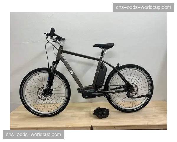 评论：电助力山地车类别（E-MTB）的竞赛规则标准化进程缓慢